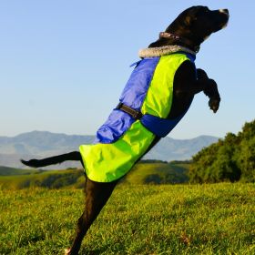 Alpine All-Weather Dog Coat - Blue and Green (size: X-Small)