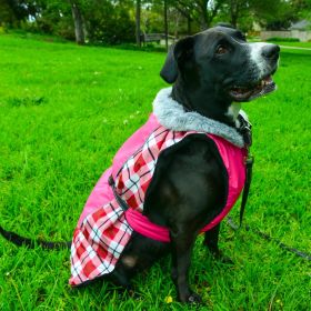 Alpine All-Weather Dog Coat - Raspberry Plaid (size: X-Small)