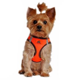 American River Top Stitch Dog Harness - Iridescent Orange (size: XX-Small)
