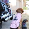 Biker Dawg Motorcycle Dog Jacket - Black
