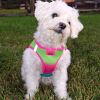American River Choke Free Dog Harness Ombre Collection - Cotton Candy