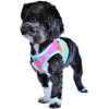 American River Choke Free Dog Harness Ombre Collection - Beach Party