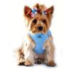 American River Solid Ultra Choke Free Dog Harness - Light Blue