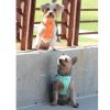American River Solid Ultra Choke Free Dog Harness - Teal