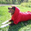 Flex-Fit Dog Hoodie - Red
