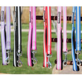 Reflective Nylon Leash with Soft Grip Handle - 3/4 in. Wide x 5 ft. Long (size: Paisley Purple)