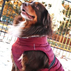Alpine Extreme Weather Puffer Coat - Burgundy (size: large)