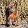 American River Solid Ultra Choke Free Dog Harness - Hunter Orange