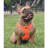 American River Choke Free Harness Hawaiian Trim - Sunset Orange