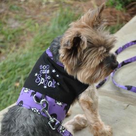 Halloween Dog Harness - Too Cute To Spook (size: medium)