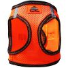 American River Top Stitch Dog Harness - Iridescent Orange