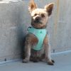 American River Solid Ultra Choke Free Dog Harness - Teal