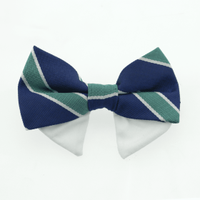 Universal Dog Bow Tie - Navy Blue and Green Stripe (size: Type 1)